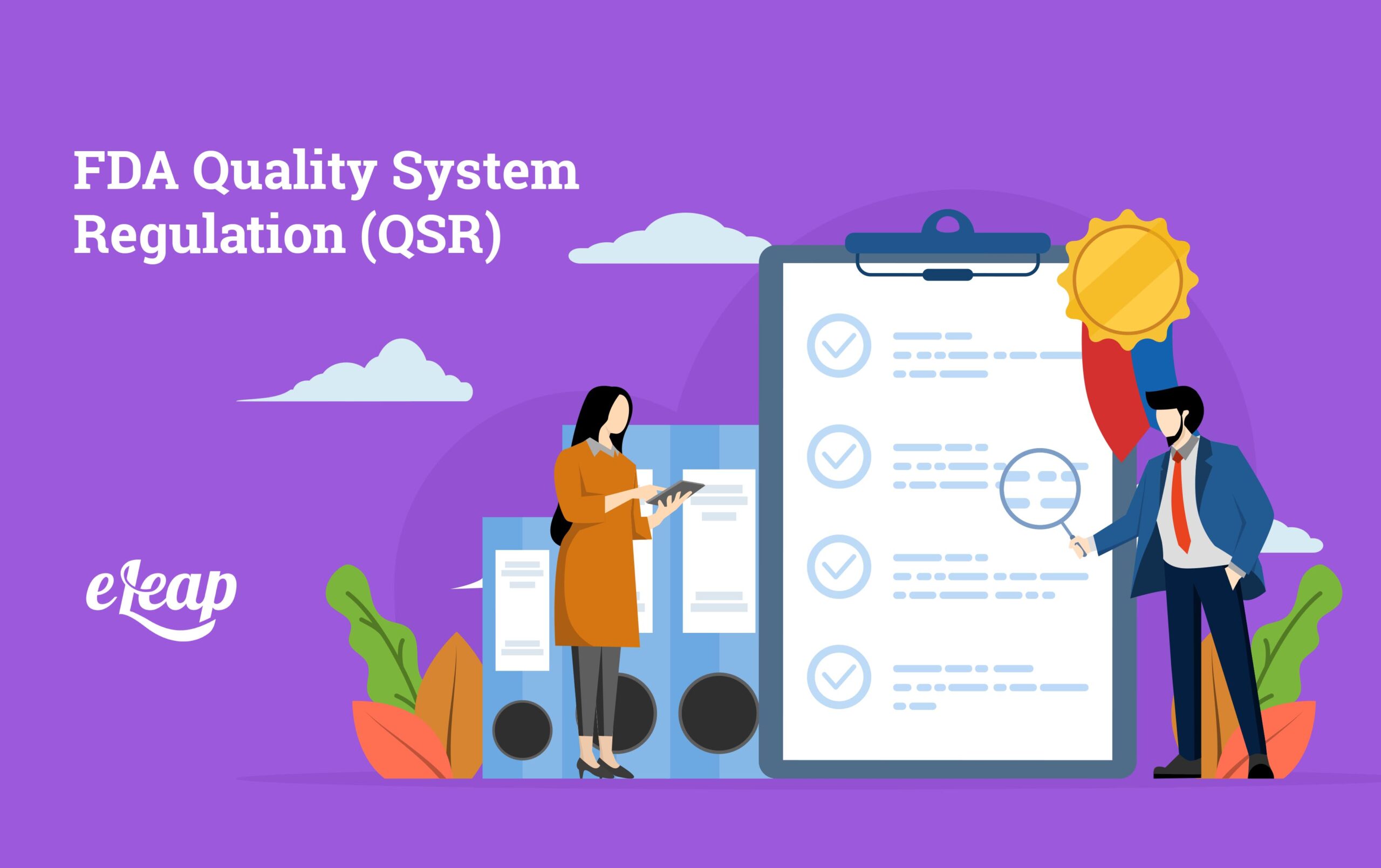 FDA Quality System Regulation (QSR)