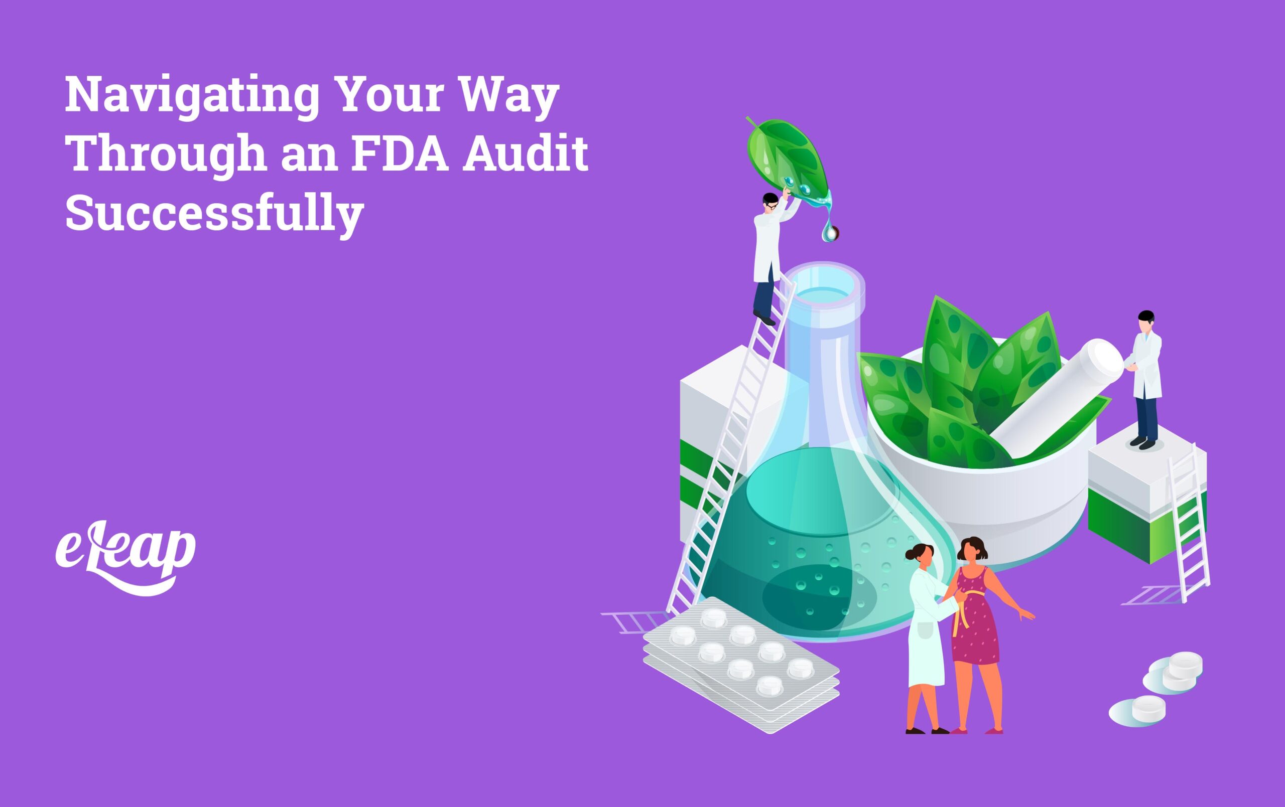 FDA Audit