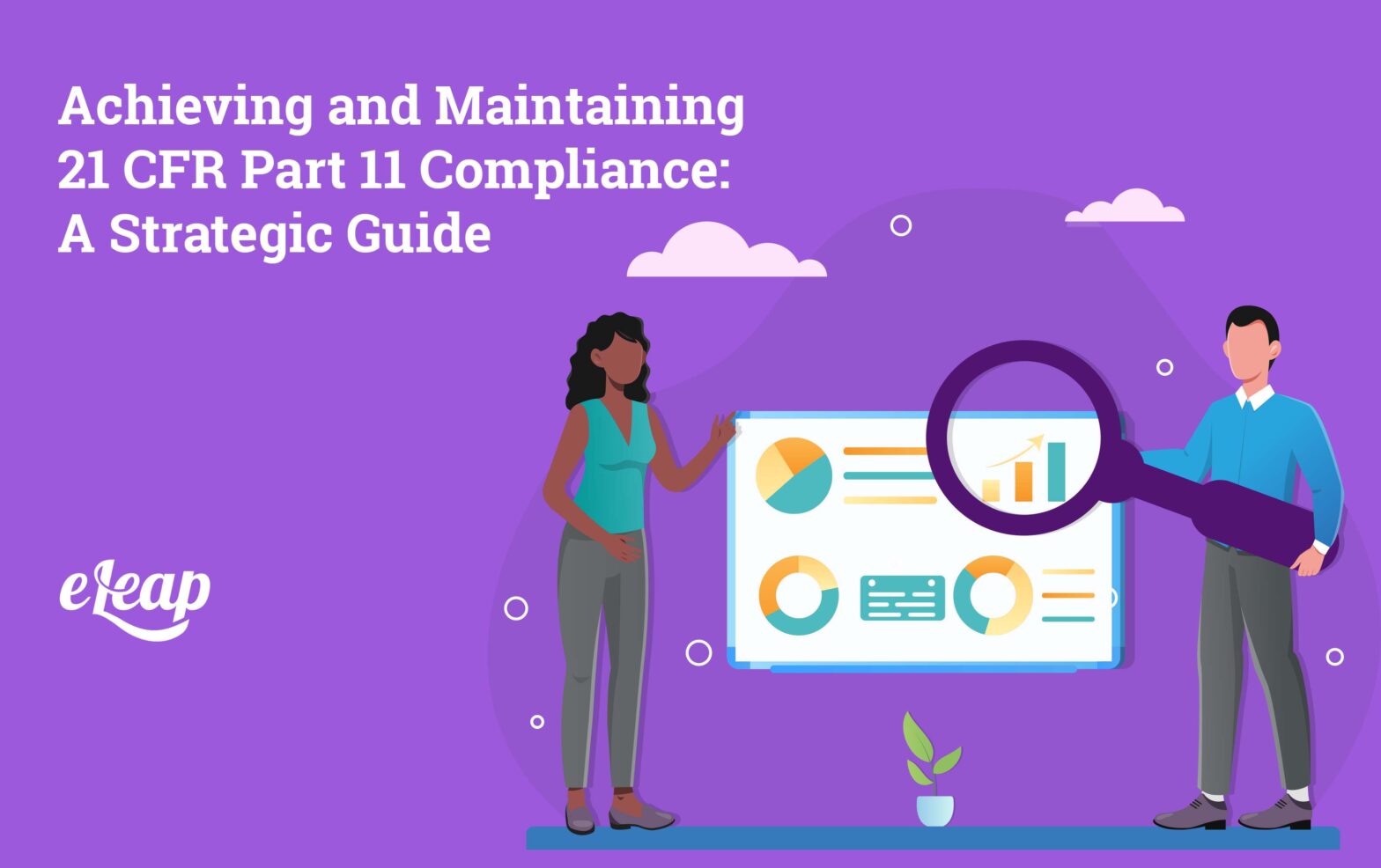 Achieving and Maintaining 21 CFR Part 11 Compliance: A Strategic Guide
