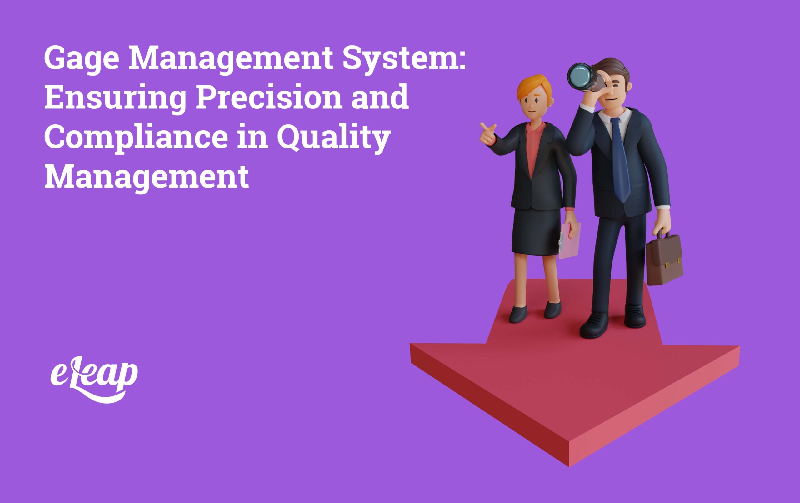 Gage Management System